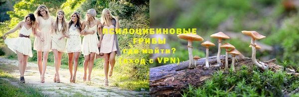 прущие грибы Ростов